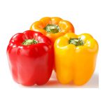 Fresh Colorful Bell Peppers, 3 Units